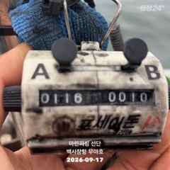 [서산,태안] 26.09.17 백사장항 무야호 갑오징어 조황^^