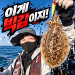 [팀바이트호] 9월17일 갑오징어 낚시