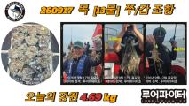 9/17 목 [13물] 쭈꾸미/갑오징어 조항 입니다.