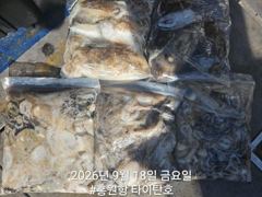9/18 홍원항 타이탄호 쭈꾸미 갑오징어
