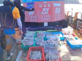 주꾸미 글만 보기
