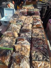 쭈꾸미+갑오징어낚시 조황 2026년09월18일(금) 왜목해양호