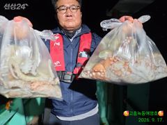 문어대박조황 입니다