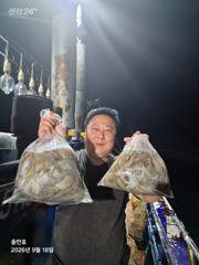 [고흥,녹동] 6시간야간문어조황 대박!!!!