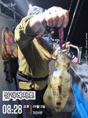 [팁런] 씨알좋은 무늬들( 토,일요일 출항)