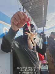 [군산포세이돈2호]18일 쭈꾸미시실시간~~~~~