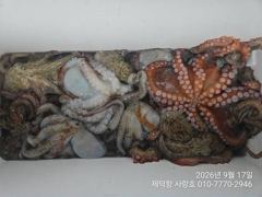 [진해] "돌문어"KKK외180수170수155수팍~팍~개인22수20수18…