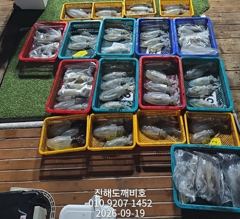 팁런무늬오징어 오늘 자리여유많습니다