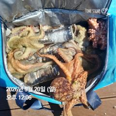 [남해] 문어 80마리!! 추석 전 월,화, 수 문어 출조 합니다.! 선…