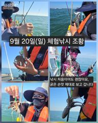 [피닉스피싱호] 9월 20일(일) 체험낚시 조황 - 낚시 처음이어도 괜찮아요, 굵은 손맛 제대로 보고 갑니다