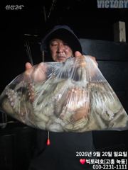 20일 오후반 문어 조황 소식 입니다