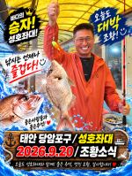 9.20 성호좌대 조황소식
