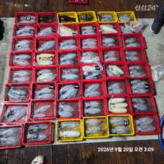 레코드호9/20 K급무시 무시 무시퍽퍽