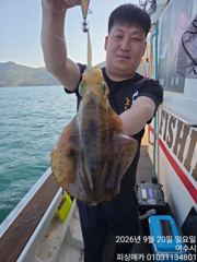 20일 금오열도 무늬오징어 조황입니다