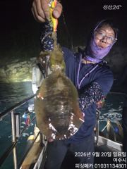 [여수,광양] 20일 금오열도 무늬오징어 조황입니다