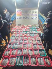 강구 인스타피싱 ~ 무늬팁런 300수 작고 철수했습니다.. 낼 화요일 야간,수요일 새벽 모두 예약가능합니다..