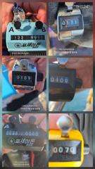 20일 쭈꾸미 호조황 입니다(오늘 오후 무늬팀런 4자리 여유)주꾸미는 계속 출조합니다