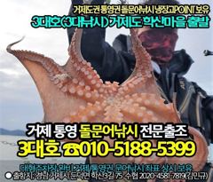 (무늬오징어)오늘 정상출항 가조도 팁런 마릿수 공략~3대호