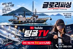글로리호 내만갈치 조황입니다!