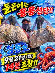 [고흥,녹동] <고흥녹동> 청룡호 21일 돌문어 오늘도!!대박조황