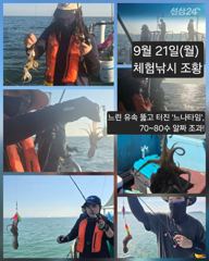 [피닉스피싱호] 9월 21일(월) 체험낚시 조황 - 느린 유속 뚫고 터진 `느나타임`, 70~80수 알짜 조과!