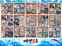대양2호 신조선 조황사진(26.09.21)