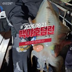 [백야호] 09.21 제주 무늬오징어 팁런 조황