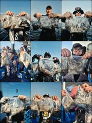 먹물 글만 보기