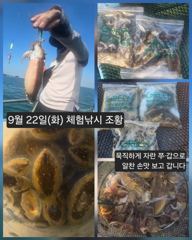 [피닉스피싱호] 9월 22일(화) 체험낚시 조황 - 묵직하게 자란 쭈·갑으로 알찬 손맛 보고 갑니다