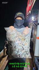 9월22일 팀보스선단 야간문어 조황