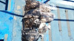 [사천] (쭈갑)올해는 삼천포로~주꾸미 80여수 장원~로마피싱(24일예약…