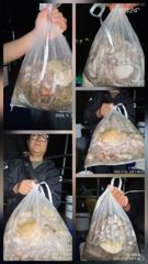 22일 야문 조항입니다
