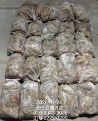 22일 홈런호 야간문어 항상 대박조황으로 마무리 합니다