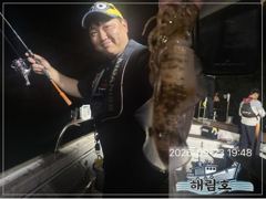 무늬오징어 시알급들 계속 물어 띠네요^^