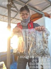 23일, 군산쭈꾸미,갑오징어도 함게~오후반 굿조황~~군산낚시프라자 월명호