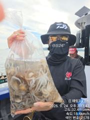 금일 쭈구미 조항입니다