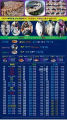 ♥붉바리들 이정도는 잡아봐야지요 대박 붉바리조황입니다[2026년09월24일] ※ 추석 명철 조사님들 잘보내시길 바랍니다 ◎ 해마루호가 뜨는이유? 조황때문이죠 ◎ 핵심포인트: 바로진입.. 바로히트.. ◎ 차원이 다른 조황으로 모십니다 ▣ 요즘 붉바리낚시가 대세입니다