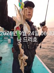 24일, 군산쭈꾸미,갑오징어도 함게~싸이즈 굿~실시간~~군산낚시프라자 나드리호
