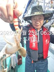 25일, 즐건 한가위 되세요~군산주꾸미~갑이랑 나오네요~실시간~군산낚시프라자 나드리호