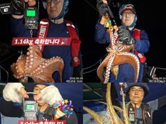 [진해] 24일 계속해서 쓸어담듯 200수이상 대~박치고 잡고온 굵직한 …