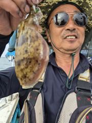 [격포] 09/25 격포 남부스타호 쭈꾸미 갑오징어 조황입니다~!!!