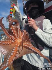 ~~*굵직한돌문어 키로급외,중치급들 마리수 좋아요~(낼예약가능)*~~