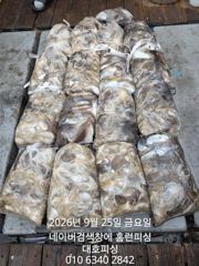 25일 군산 대호피싱호 15분의 대박 조항 입니다