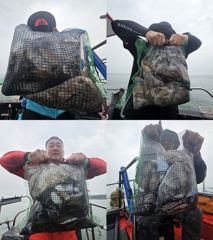 쭈꾸미갑오징어대박!!갑오징어만90수오바~~~~~~