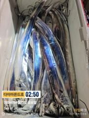 5지급쌍걸이! 초대박팡팡! 내일 마감임박! 전화주세요~