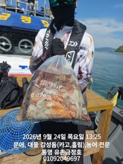 통영 금정호 내일 오전문어 자리여유있습니다