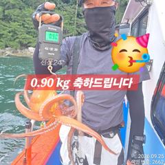 [진해] 25일 계속 올라와 퍼담듯 잡고온 Kg급과 굵직한 야간~돌문어 …