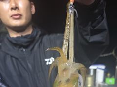 내만무늬팁런 매일 “200수,250수” 장원 30수,28수 외 전원 초대박 두자릿수~!! 일부사진만 올립니다 ((오늘 예약가능~!!)