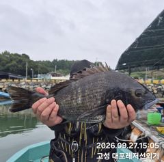 [통영] 왕무시외 덩치들 한가득~!!! 오늘 6시 출동합니다!!!