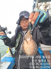 28일 오전반 실시간
